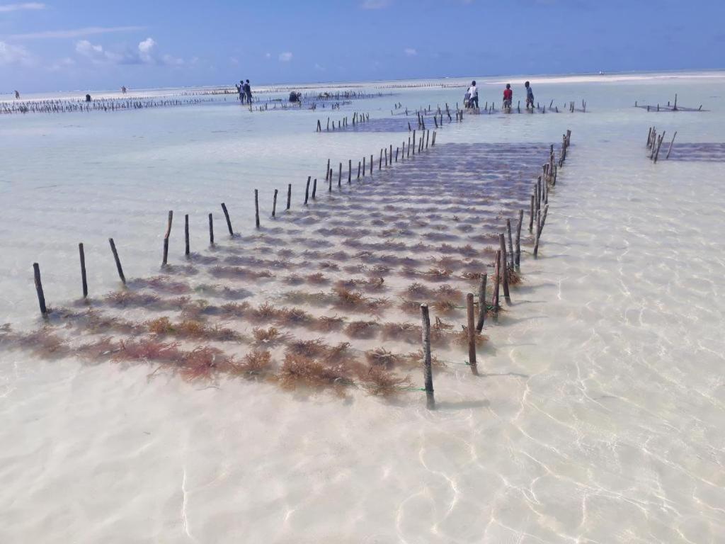 Wonderful Ocean Villa จัมเบียนี ภายนอก รูปภาพ